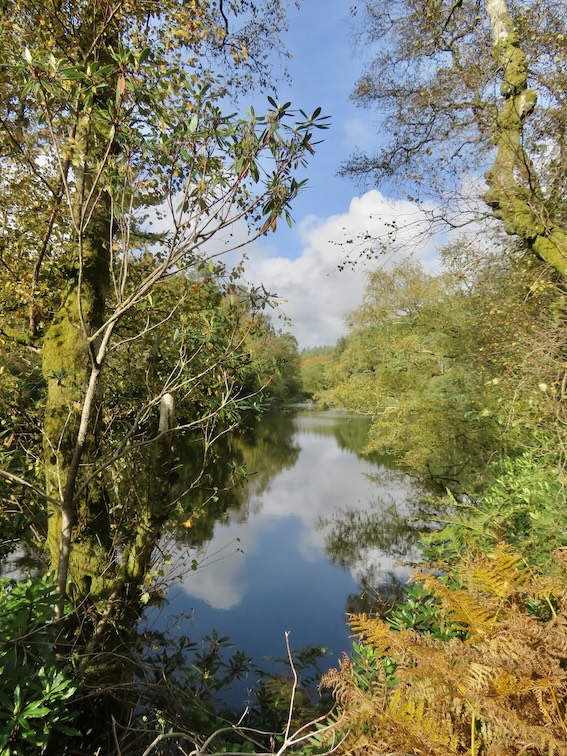 Autumn Watch at Beautiful Ponsonby Tarn “Area of Focus” for a Mine Site Through Which to Trundle Nuclear Waste Under the Irish Sea for over 150 years.